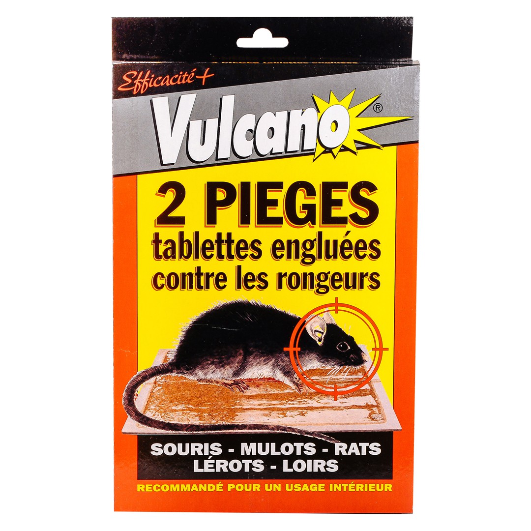 Piège Glue / Colle Souris Rats - Vulcano Tablettes - Eradicateur