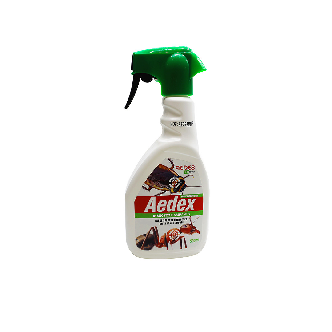 Aedex Spray Insectes Rampants (500 ml) - Eradicateur